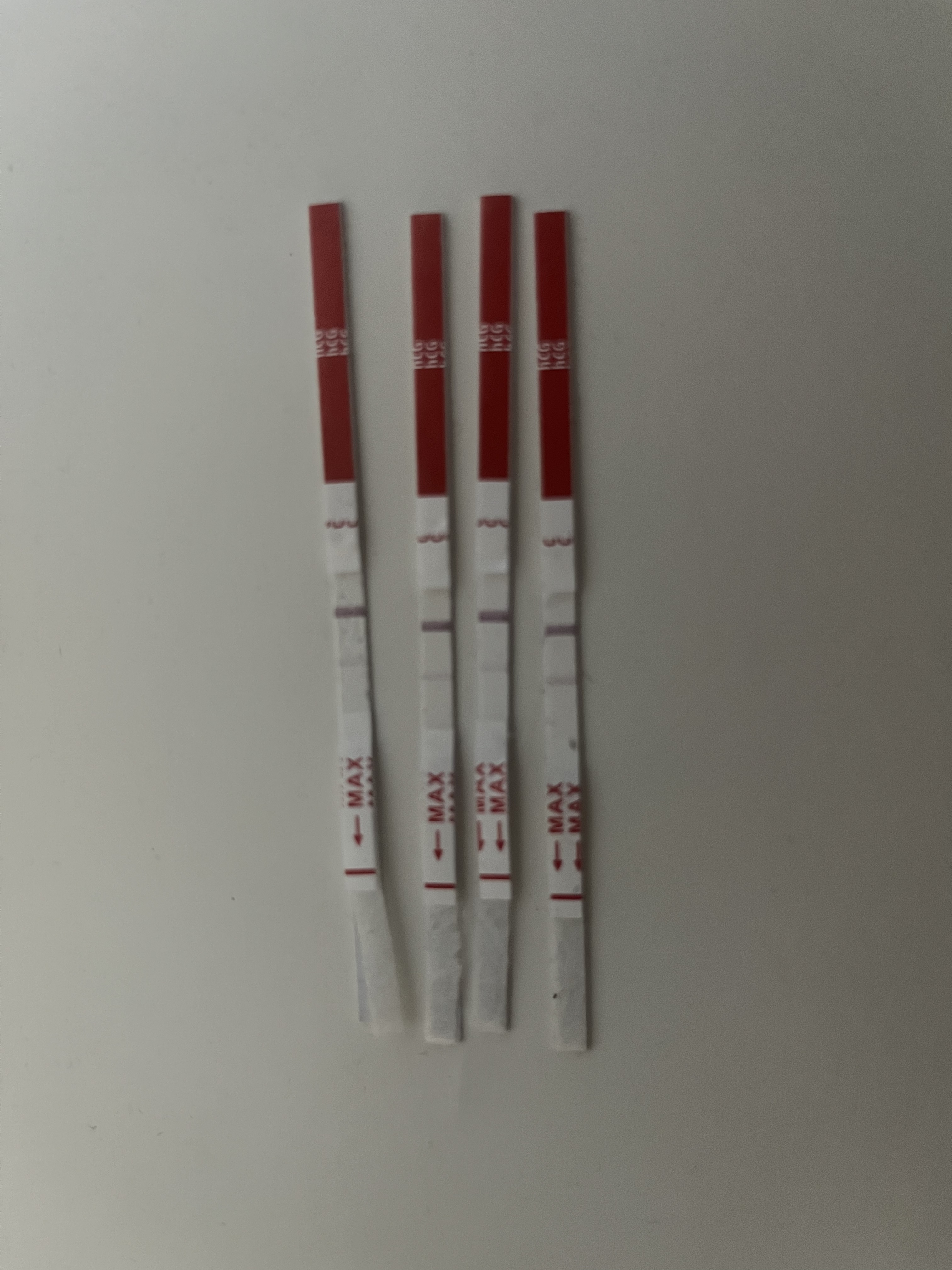 n90oz12rl89u.jpeg